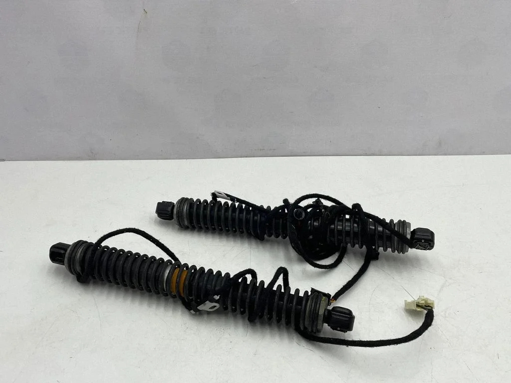 Tailgate/trunk strut/damper