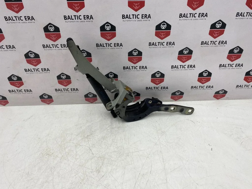 Tailgate/trunk strut/damper 7210557