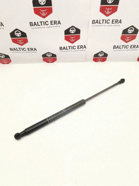 Tailgate/trunk strut/damper 7295205