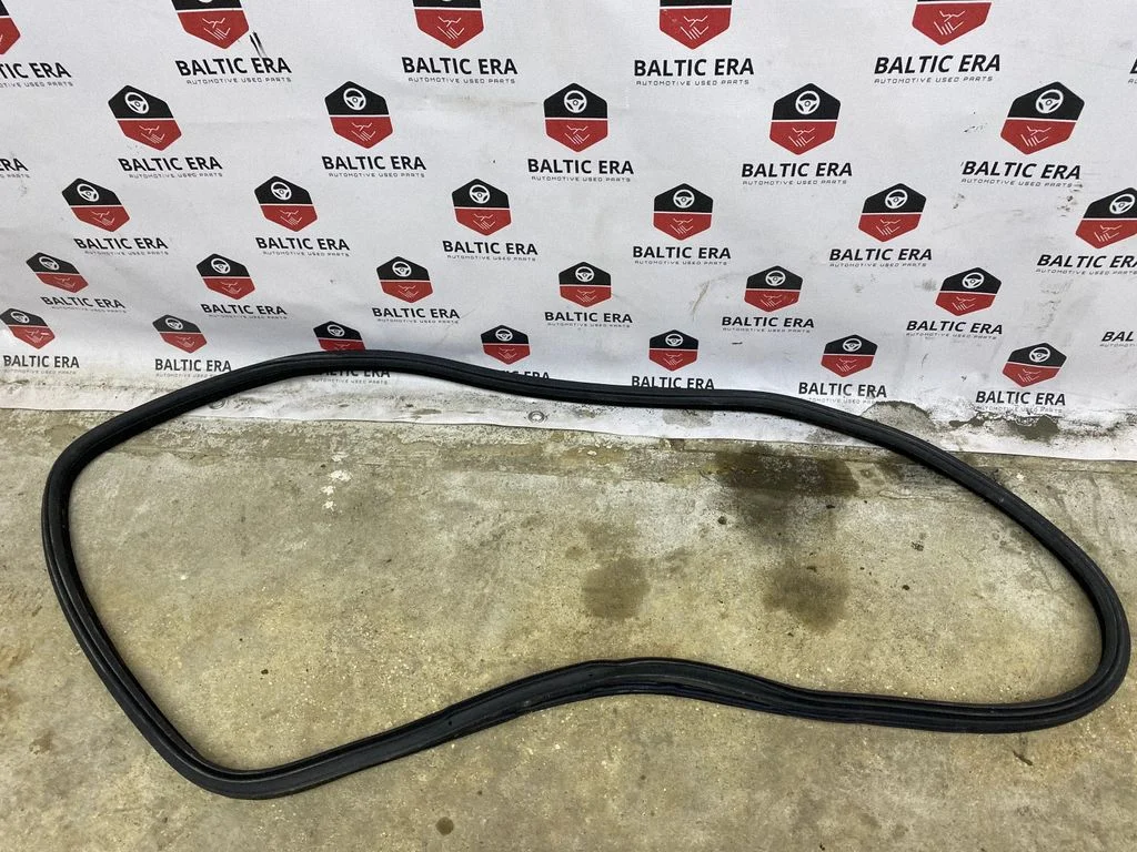 Rear door rubber seal (on body) 7401893