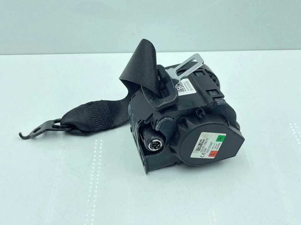 Rear seatbelt 7431247