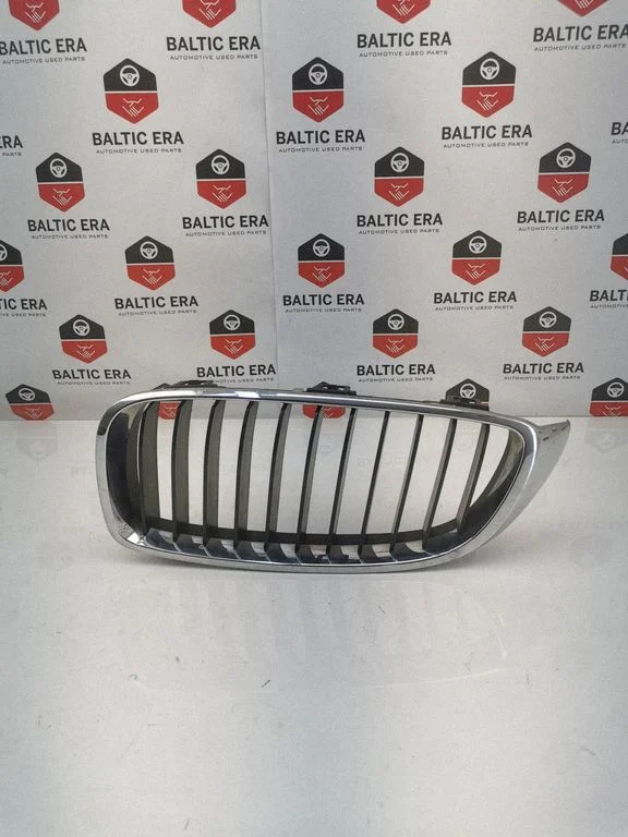 Atrapa przednia (grill) 7294813