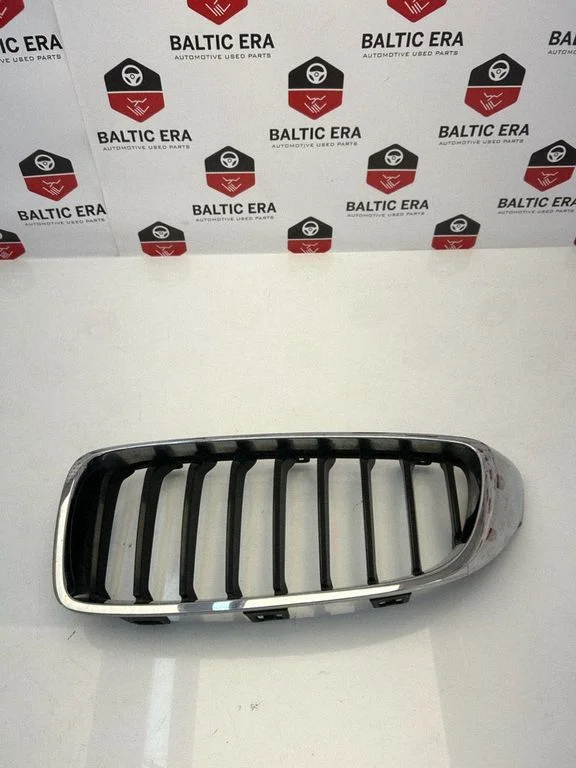 Front grill 7294813