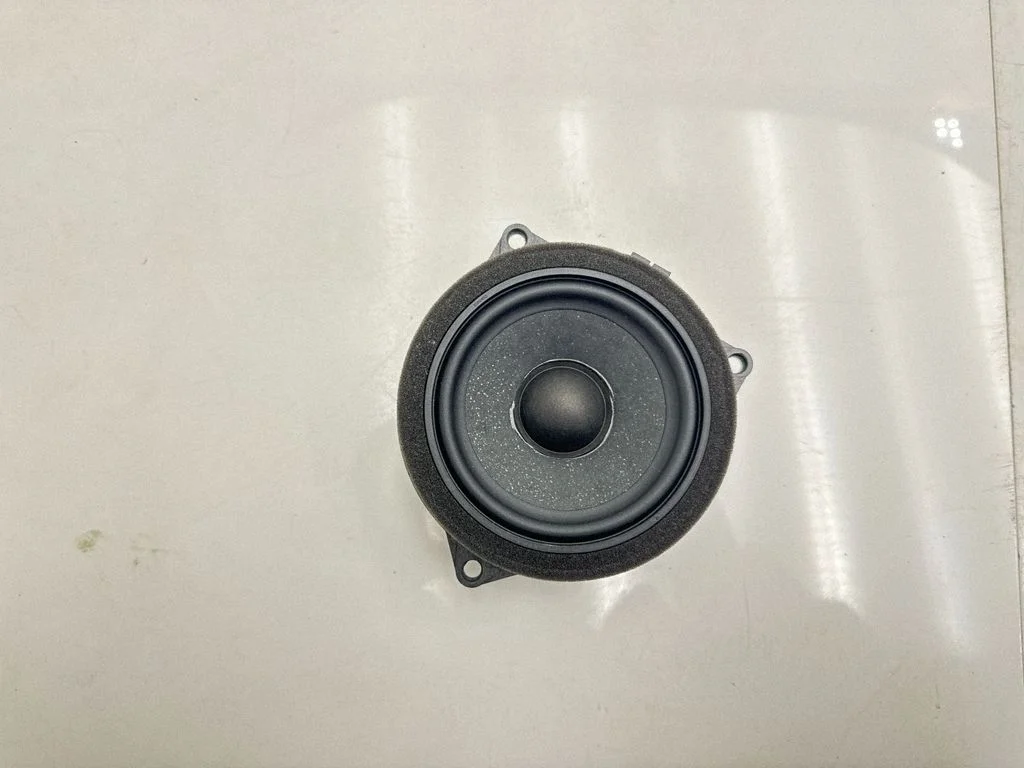 Front door speaker 6809629
