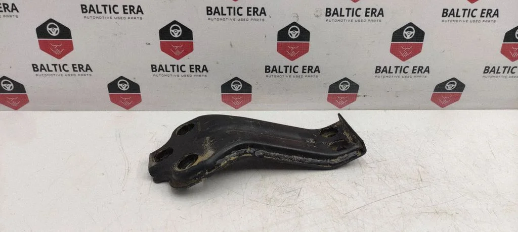 Kita kėbulo dalis