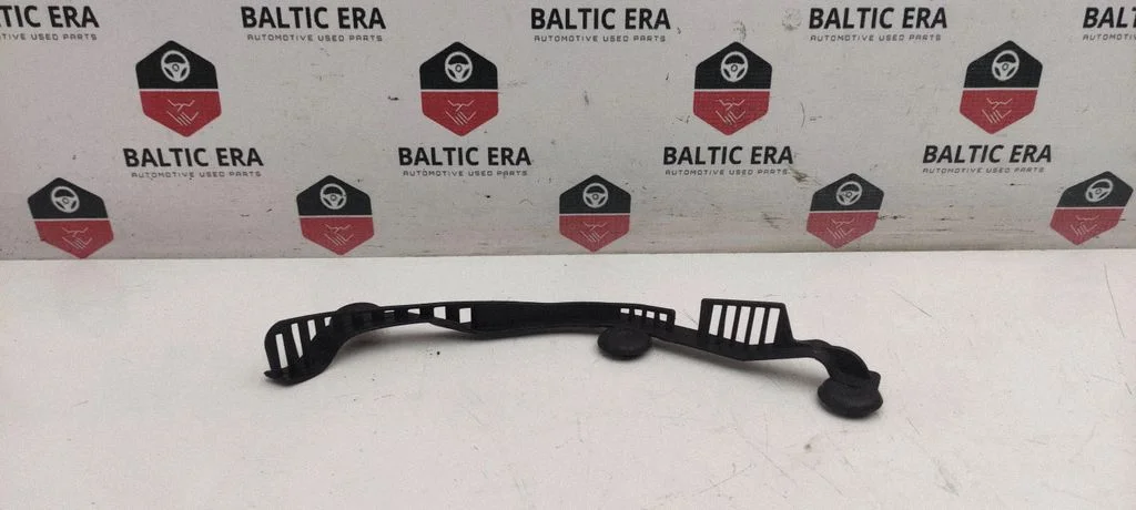 Kita kėbulo dalis