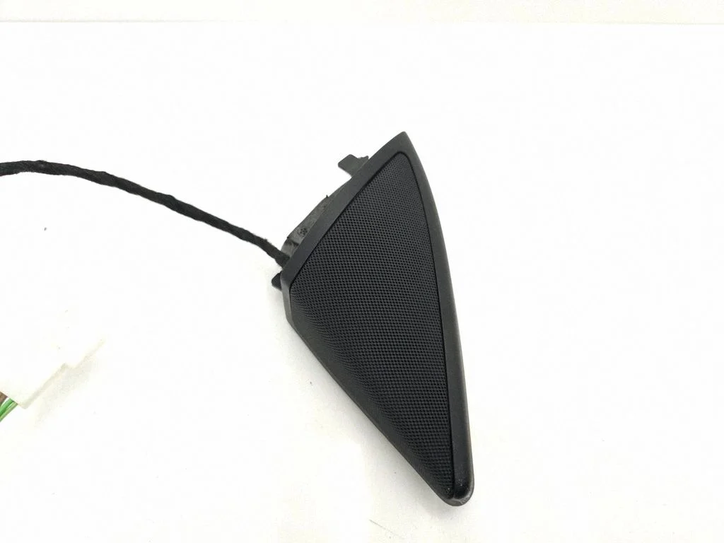 Front door high frequency speaker A2118202702