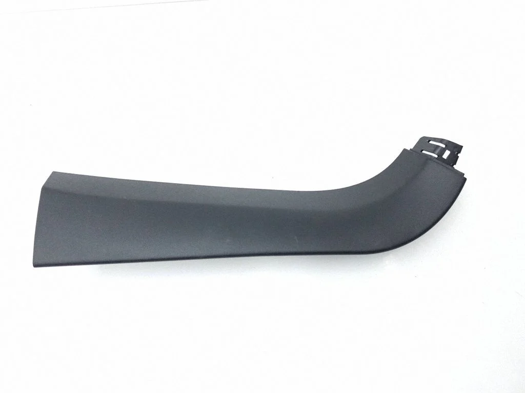 Tailgate trim 100925200G