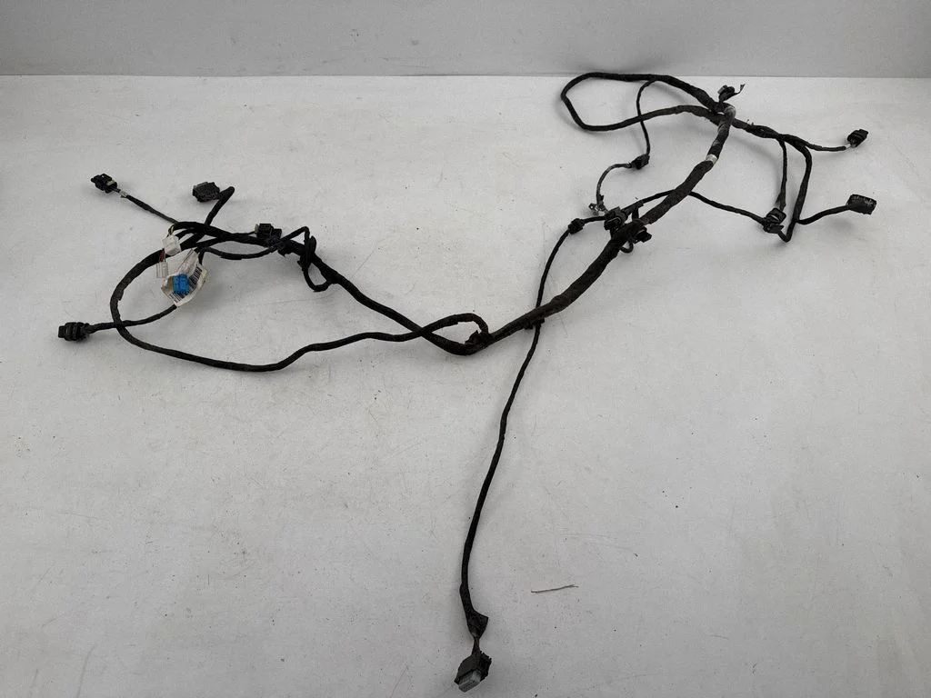 Parking sensor (PDC) wiring loom A2055406800