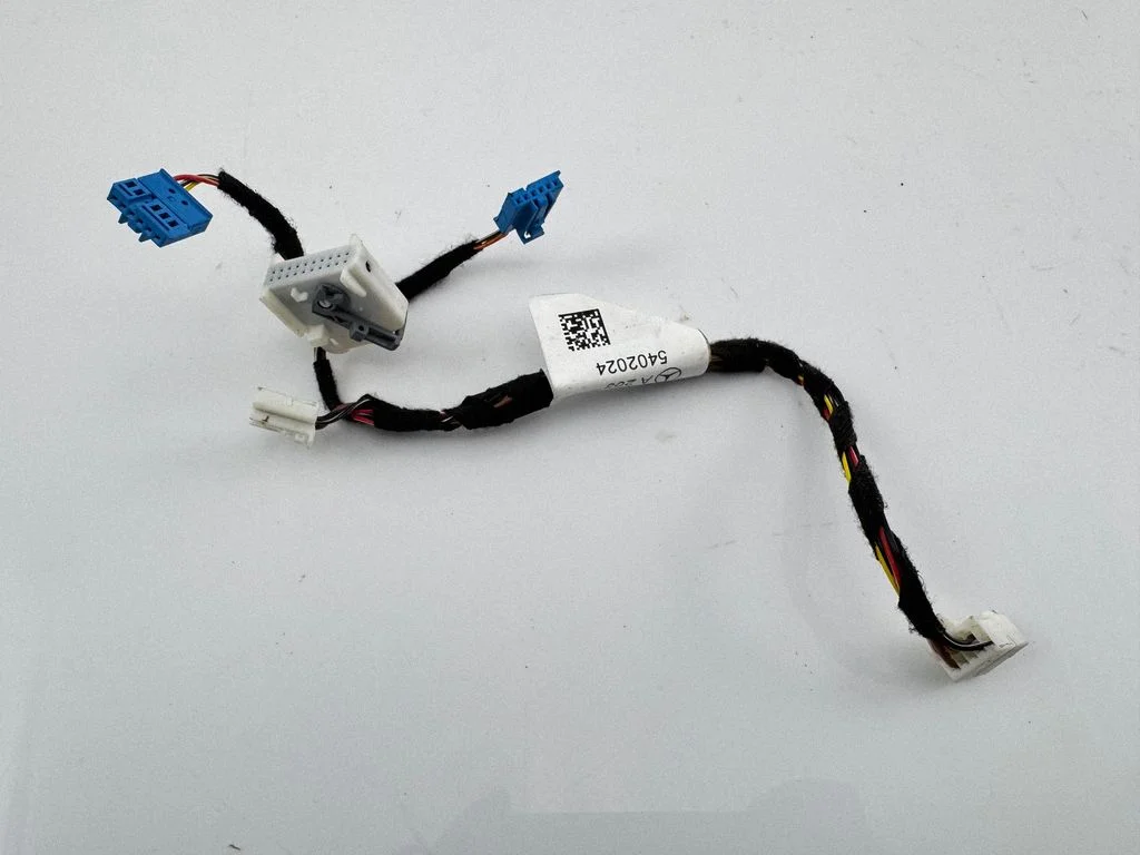 Other wiring loom A2055402024