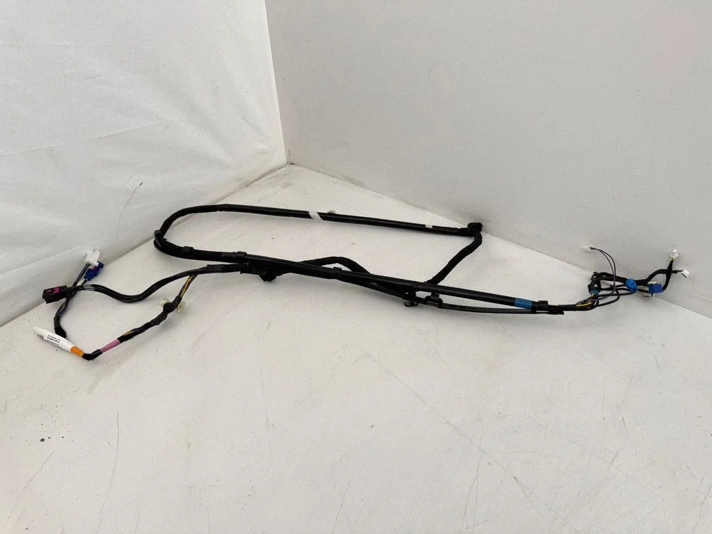 Other wiring loom 161669100D