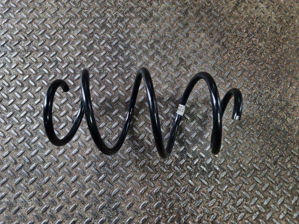 Front coil spring