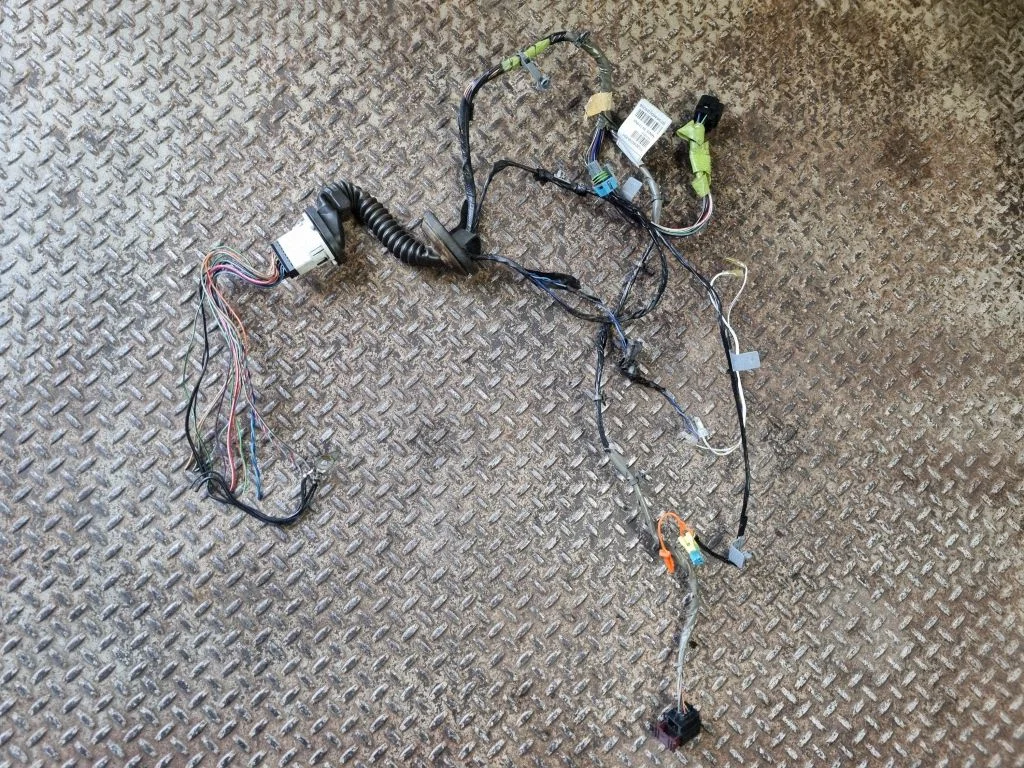 Rear door wiring loom 15924058