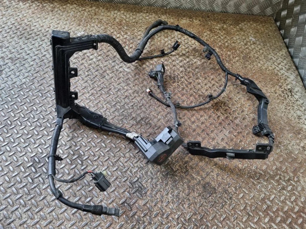 Positive wiring loom 91850F1410