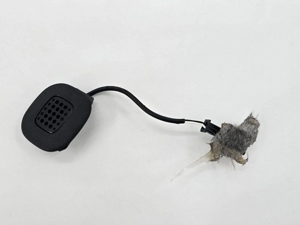 Mikrofonas (bluetooth / telefono)