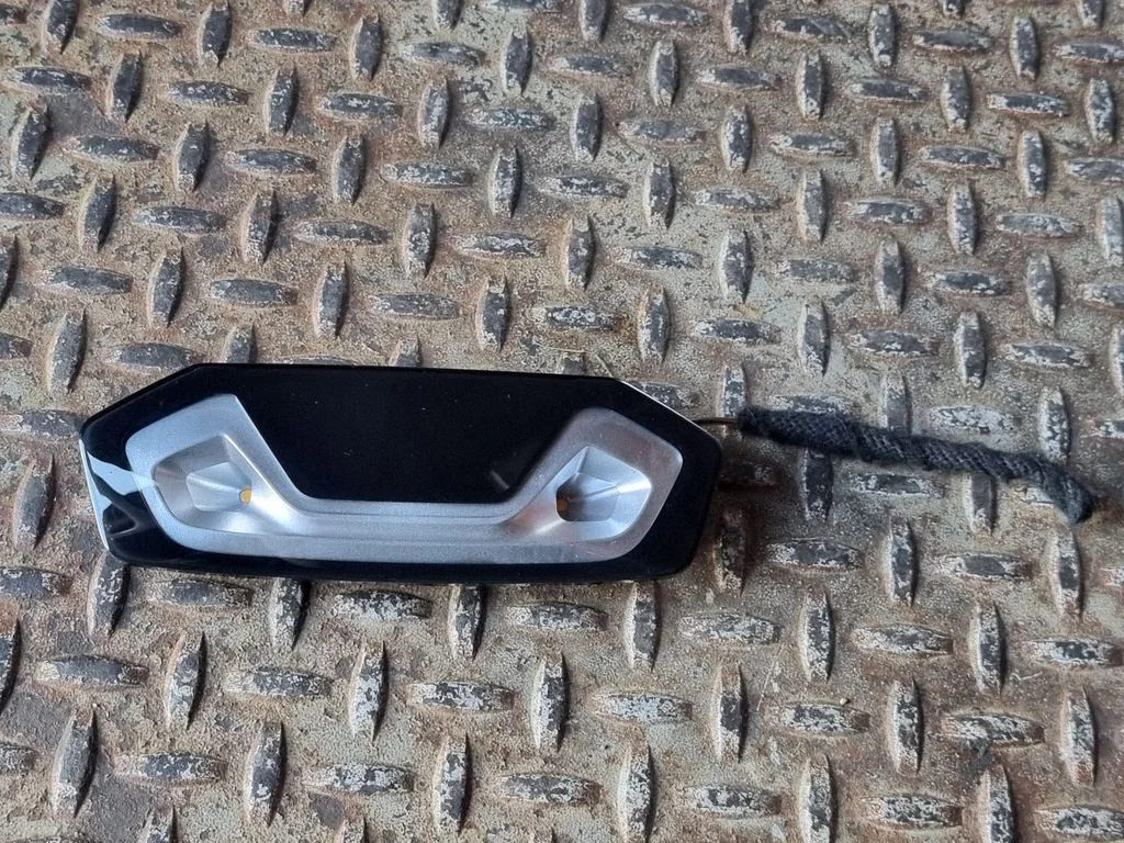 Rear seat light 7950093
