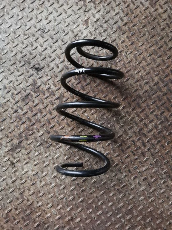 Front coil spring