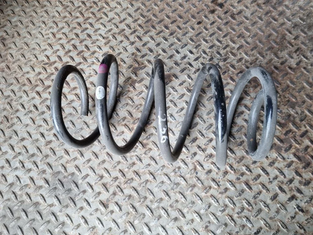 Front coil spring