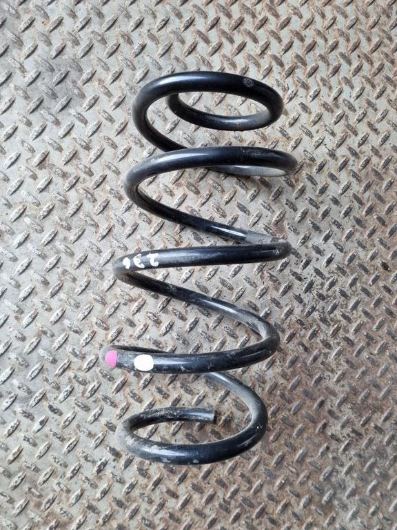 Front coil spring