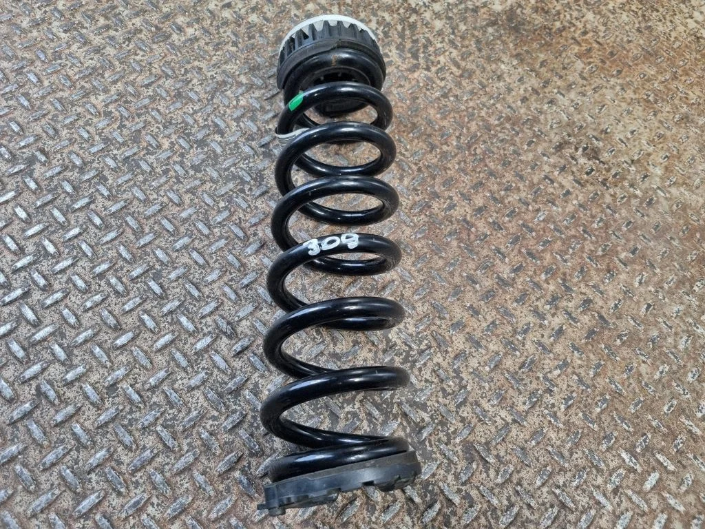 Rear coil spring