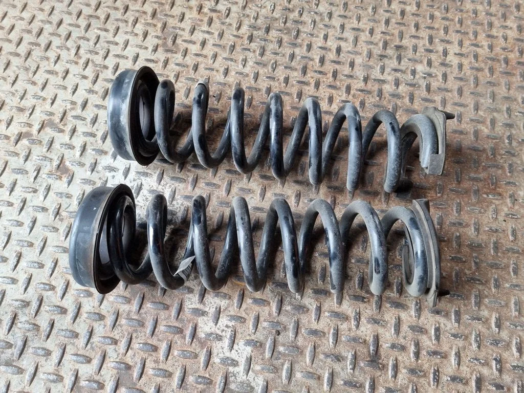 Rear coil spring
