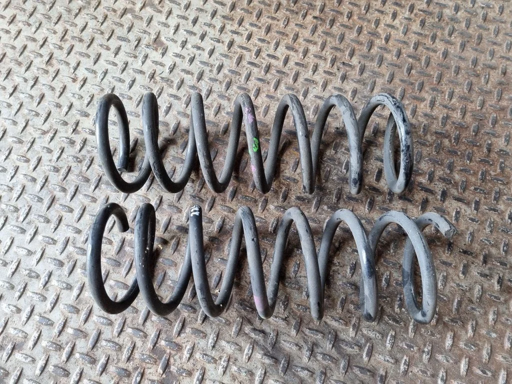 Rear coil spring