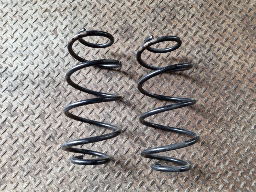 Rear coil spring