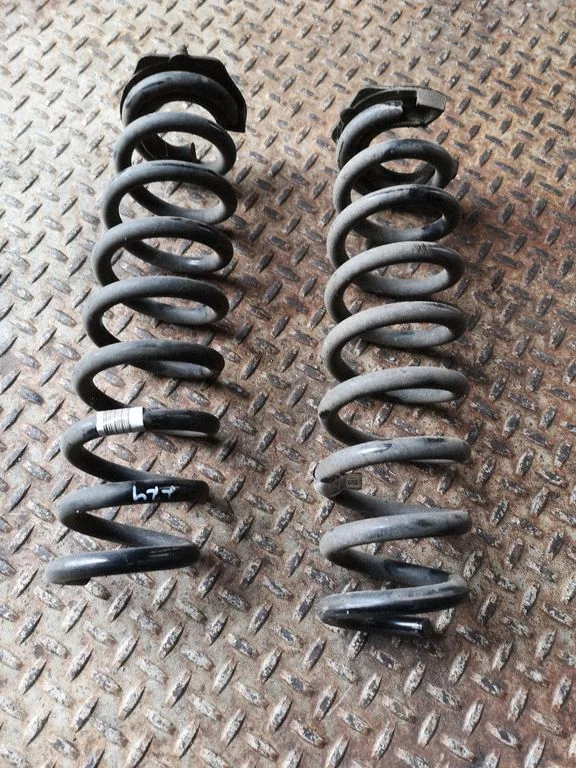 Rear coil spring