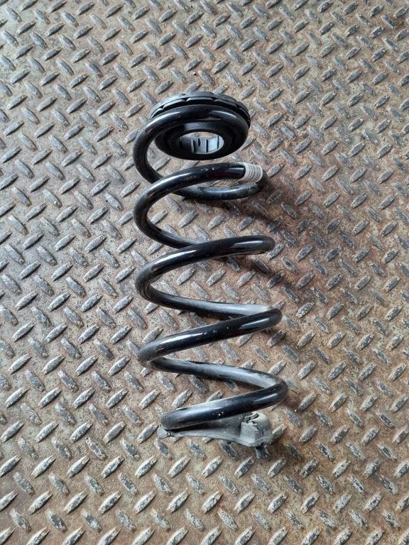 Rear coil spring
