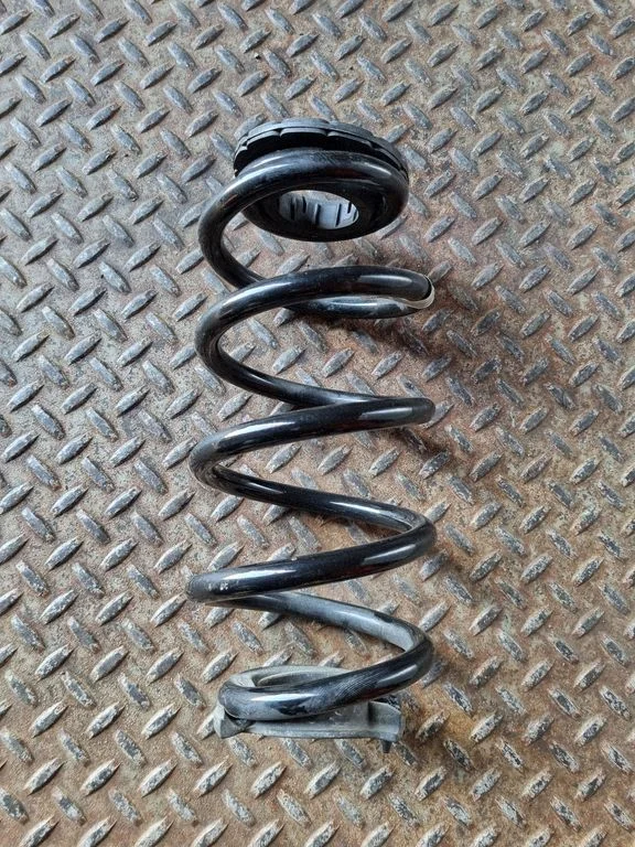 Rear coil spring
