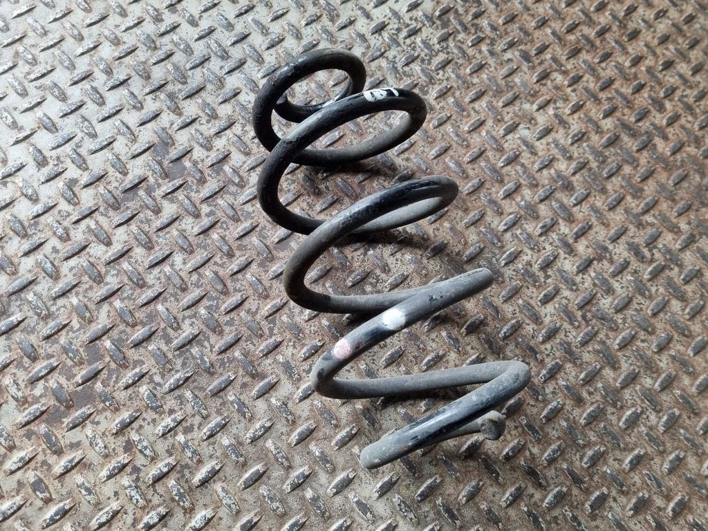 Rear coil spring