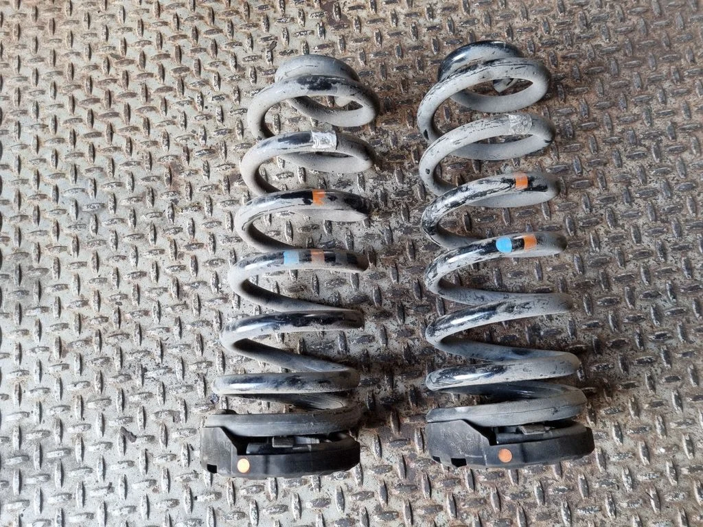 Rear coil spring