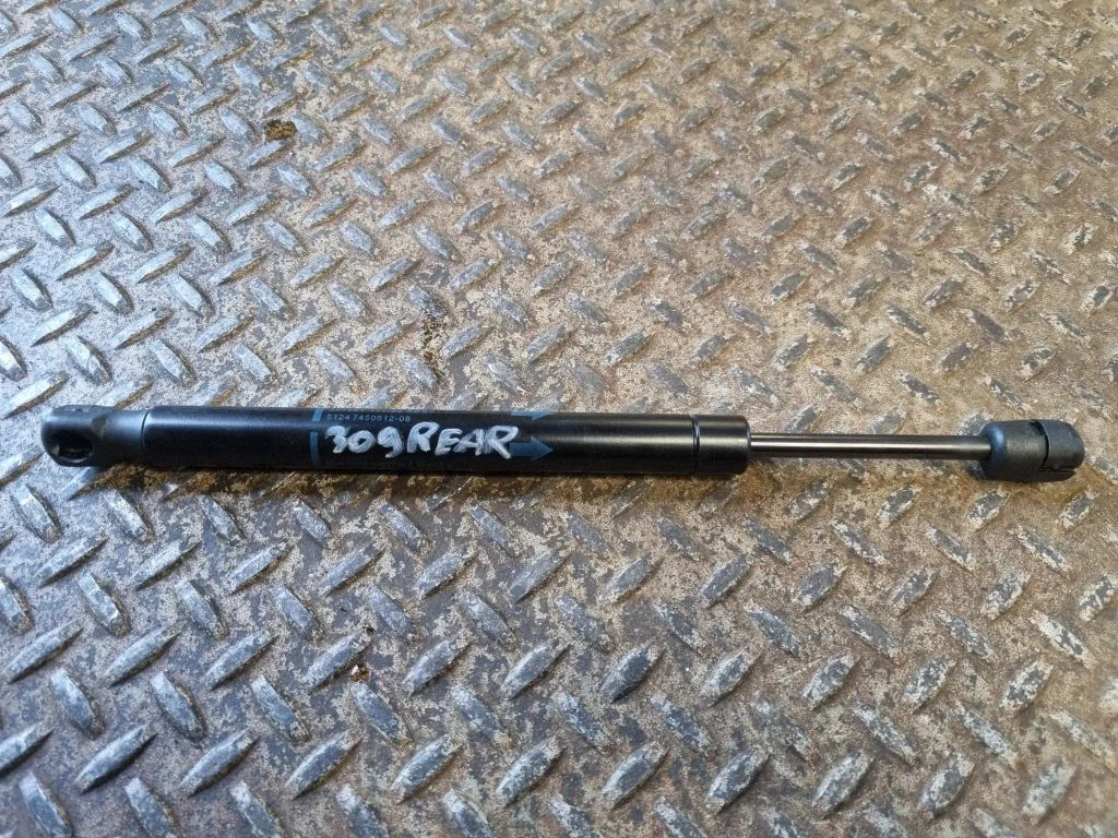 Tailgate/trunk strut/damper 7450612