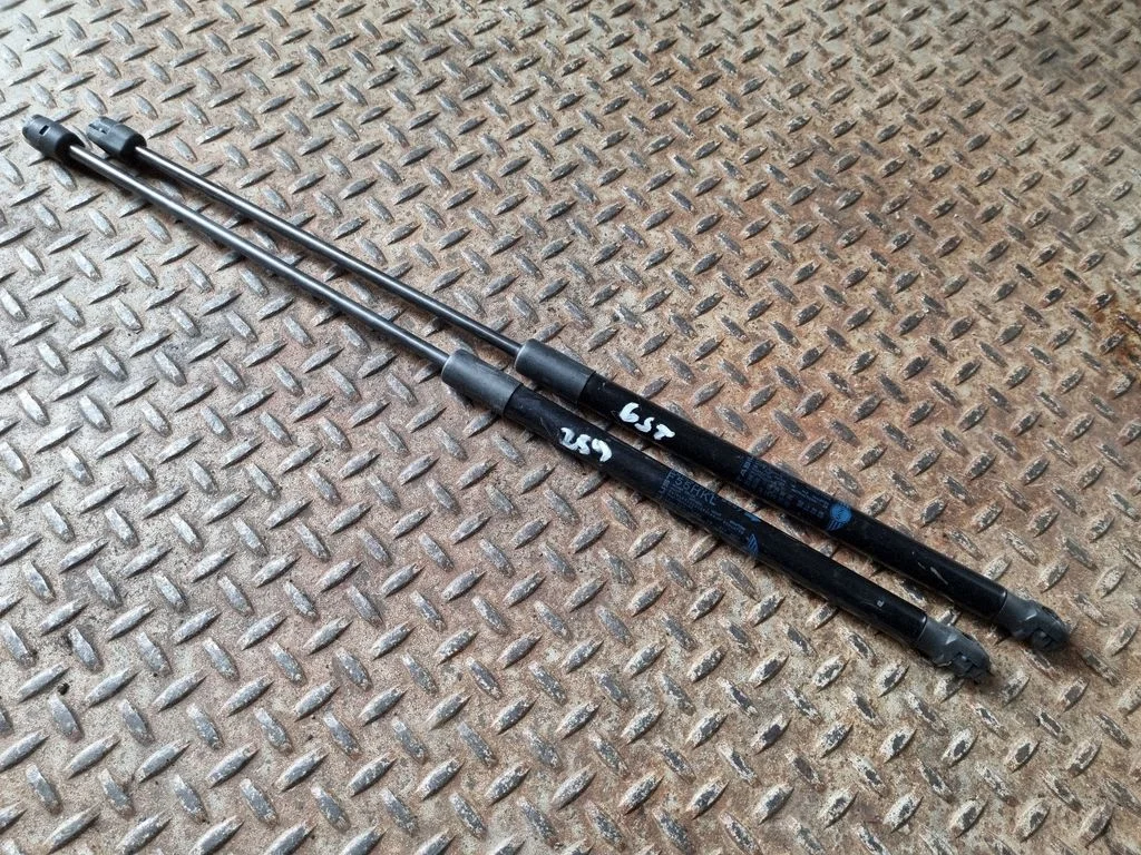 Tailgate/trunk strut/damper 7318896