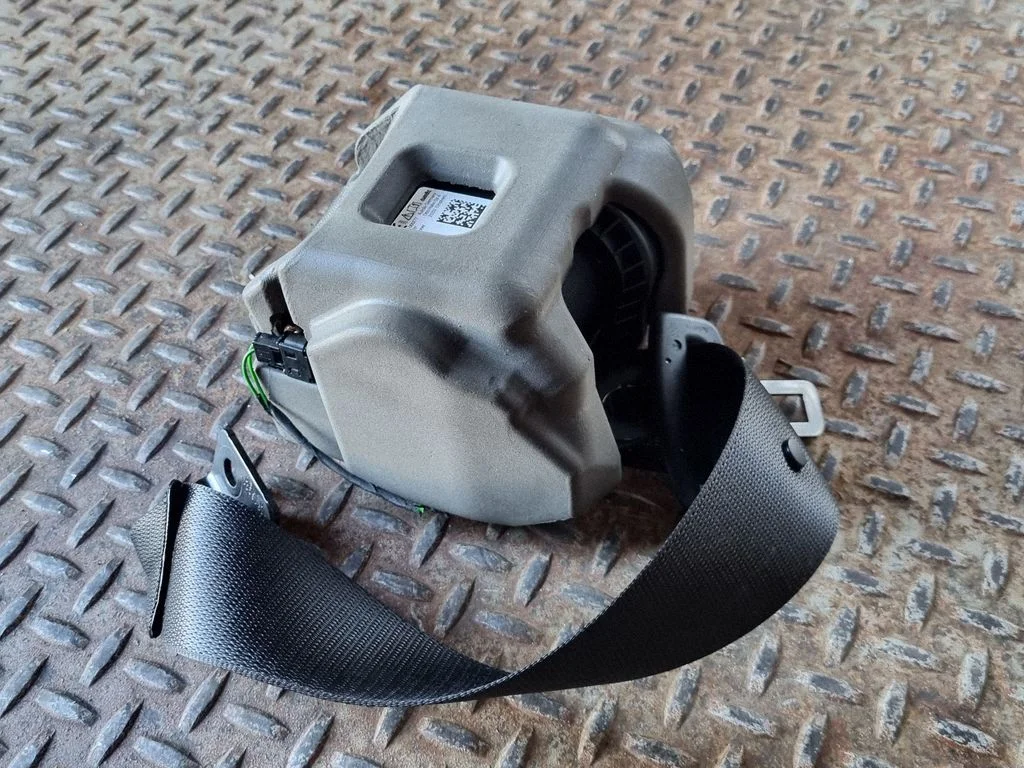 Rear seatbelt 7456278