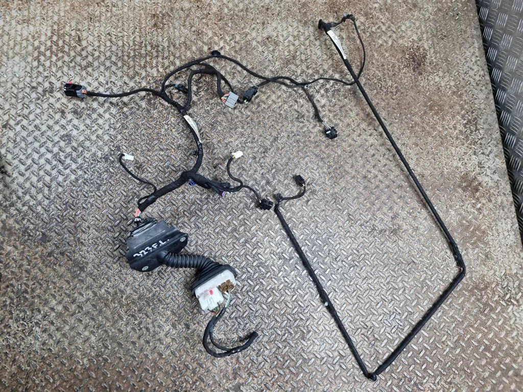 Front door wiring loom 68399119AA