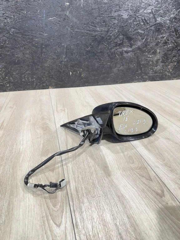 Front door electric wing mirror 219720