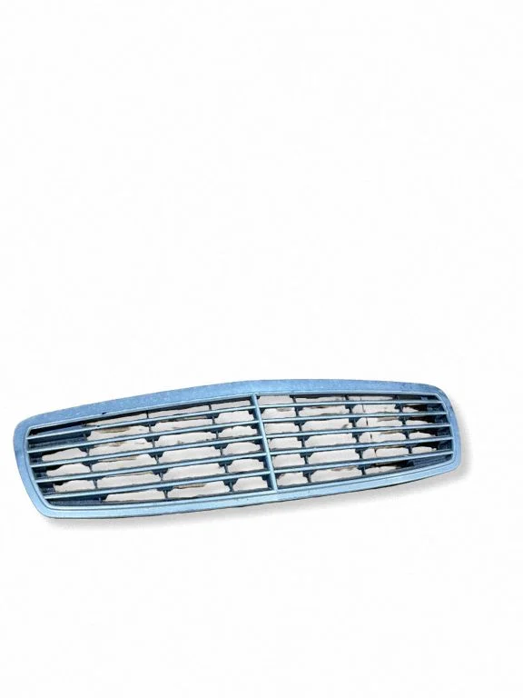 Front grill A2118800583