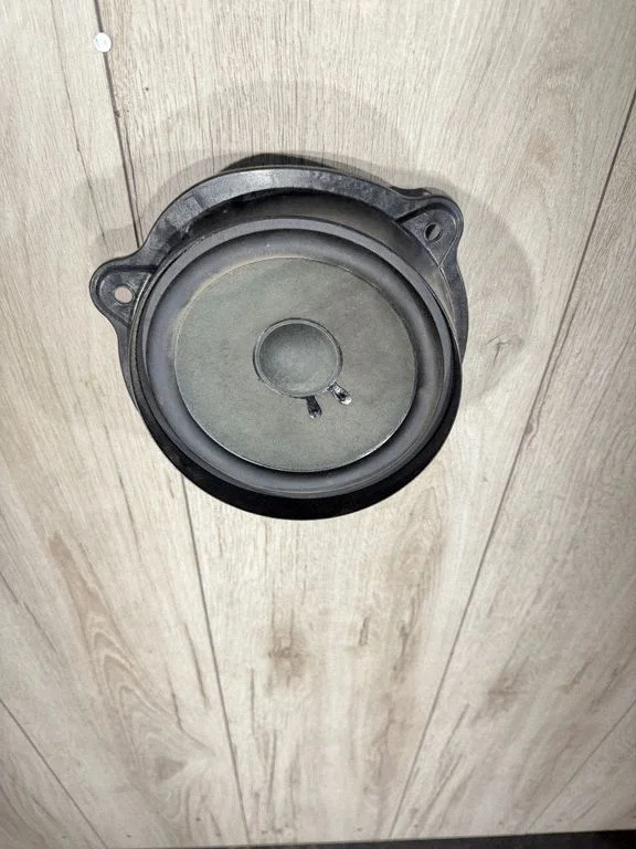 Front door speaker A2198200402