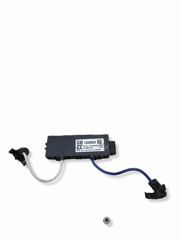 Front seat light 13309524