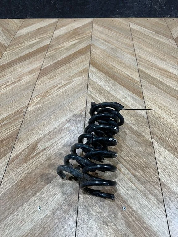 Rear coil spring