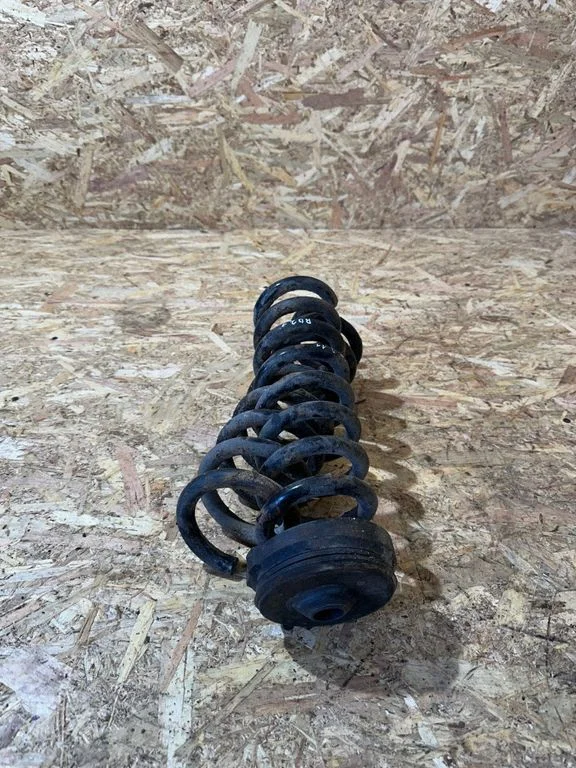 Rear coil spring