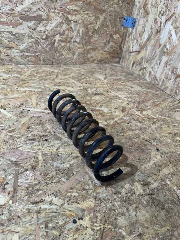 Rear coil spring