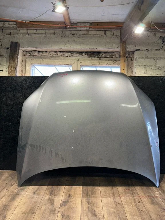 Engine bonnet/hood