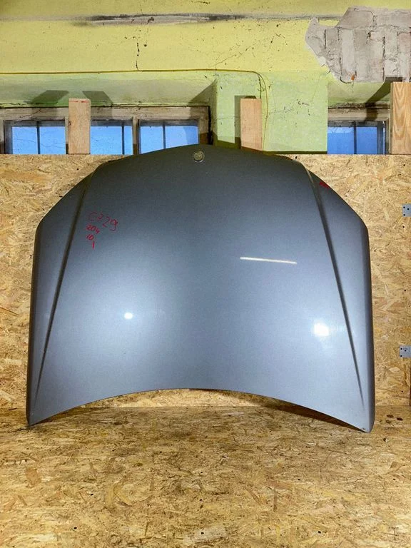 Engine bonnet/hood