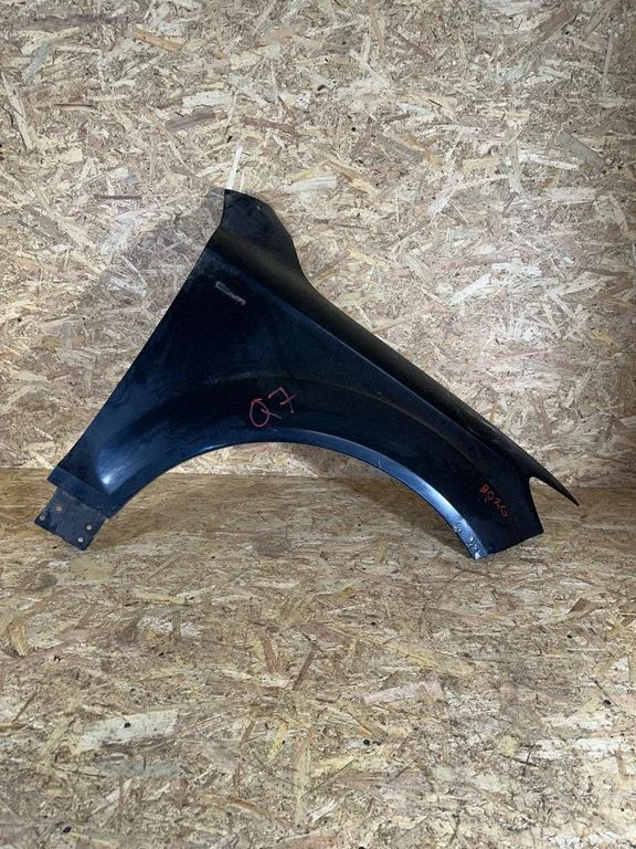 Fender