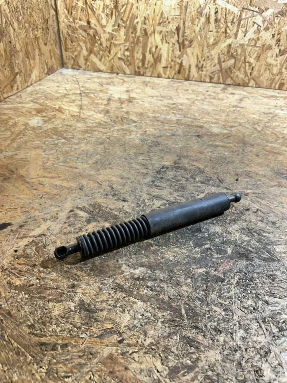 Tailgate/trunk strut/damper A2519600804