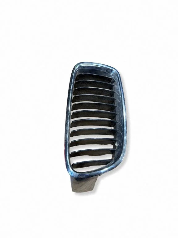 Front grill 7295436