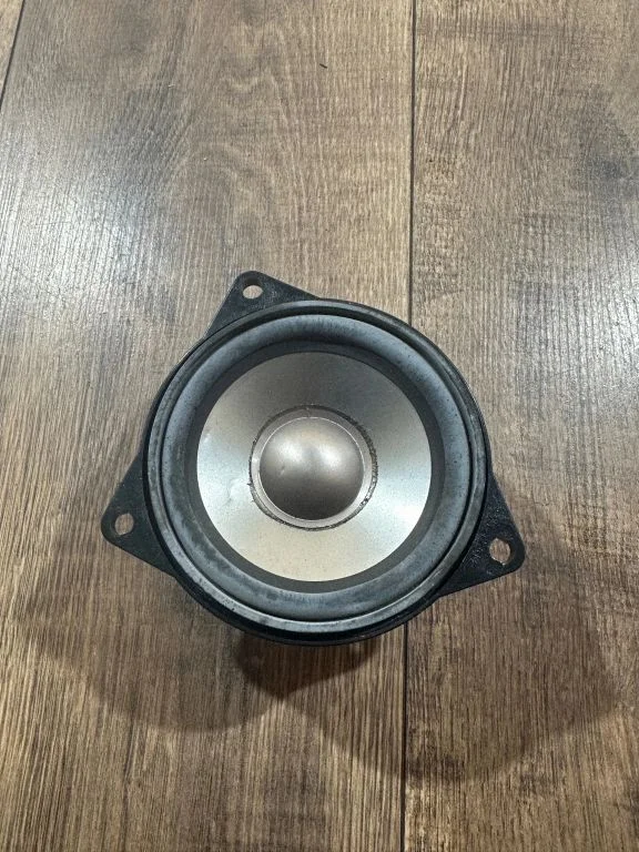 Rear door speaker 6907641