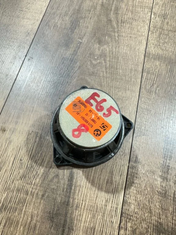 Rear door speaker 6907641